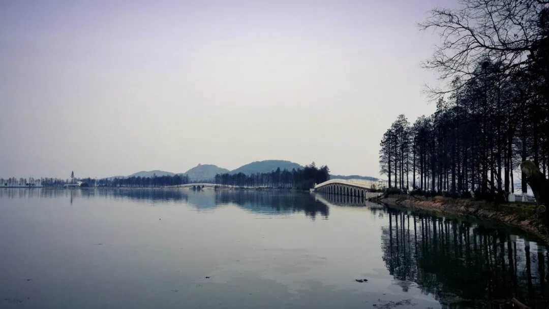 打卡武汉最美城中湖——东湖