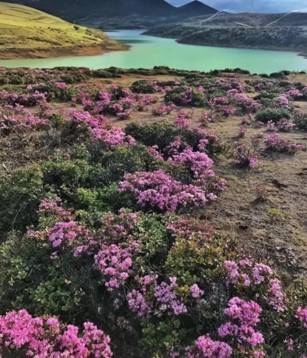 香格里拉旅游攻略