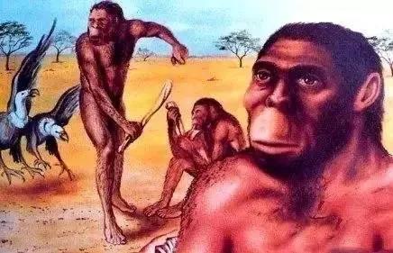 人类根本不是进化来的，人类进化过程所经历的几个阶段