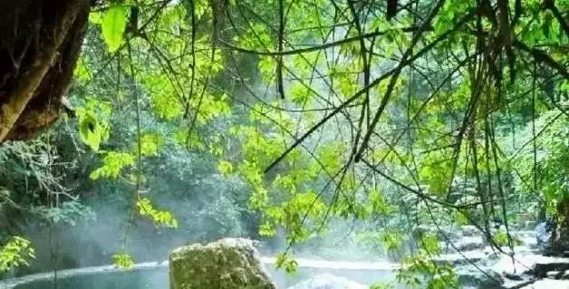 春节假期如何玩转保山？这份攻略快收下→