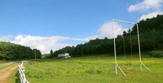 春节假期如何玩转保山？这份攻略快收下→