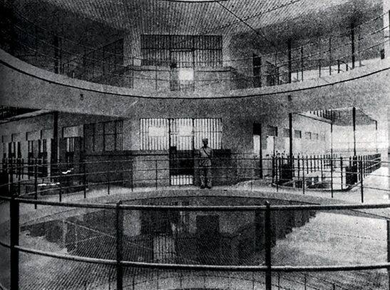 刀客杨佳(杨佳袭警高层的反应)