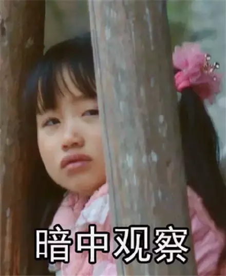 姚珠龙(变形计姚珠龙现状)