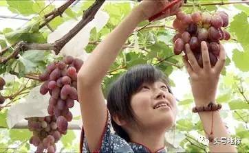 华亭人家(华亭人家毛桥村)