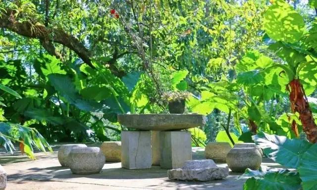 春节假期如何玩转保山？这份攻略快收下→