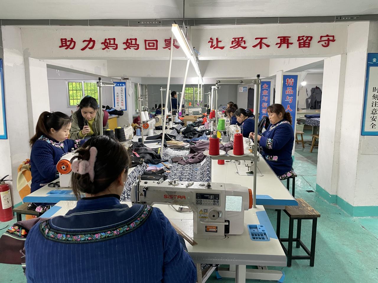 彭对喜(彭对喜与向世林)