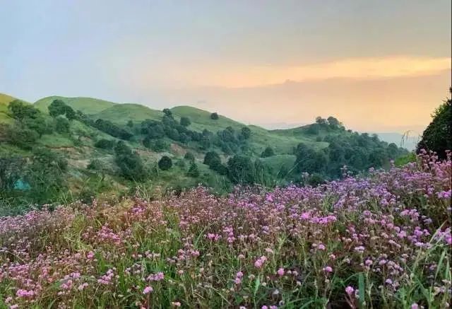 春节假期如何玩转保山？这份攻略快收下→