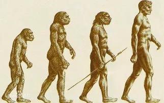 人类根本不是进化来的，人类进化过程所经历的几个阶段
