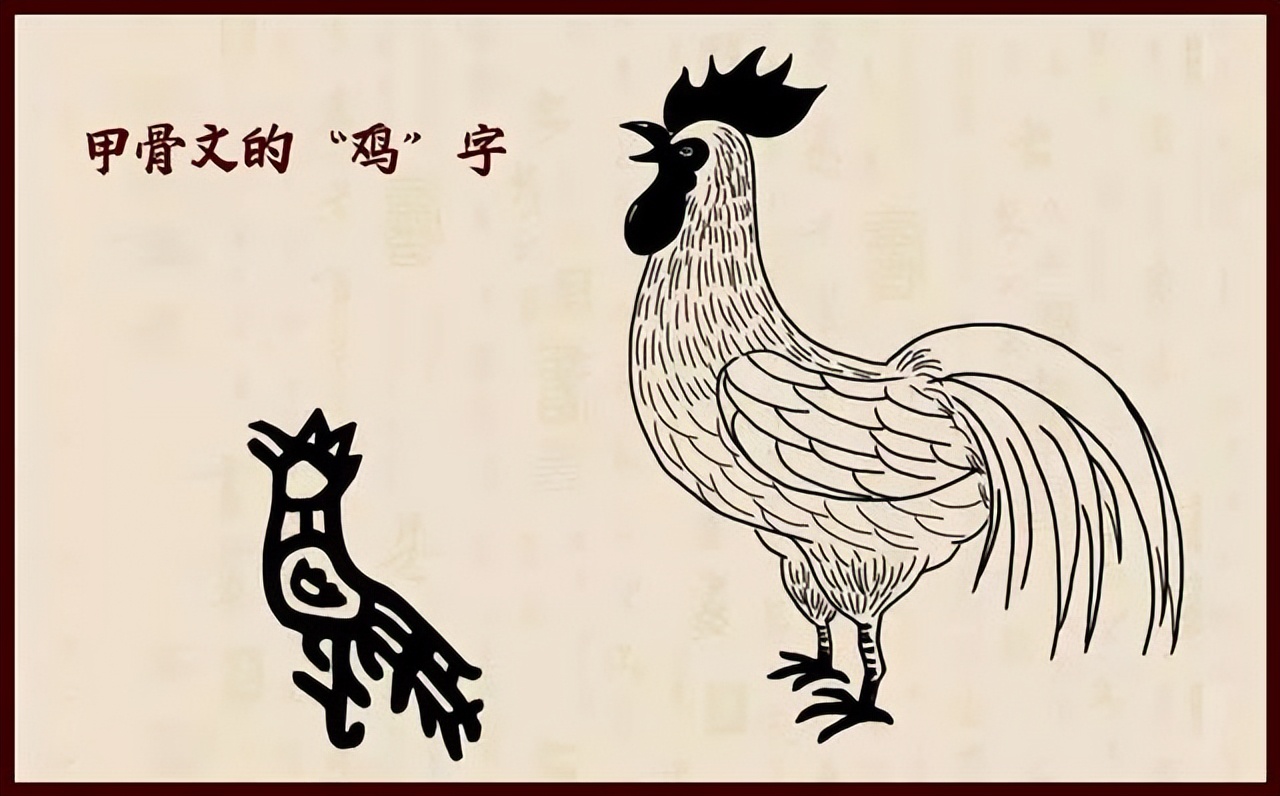 一曲阳关什么生肖，答案是生肖鸡，这个比喻太好了