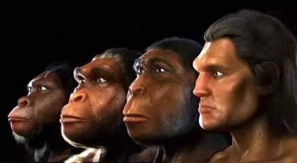 人类根本不是进化来的，人类进化过程所经历的几个阶段