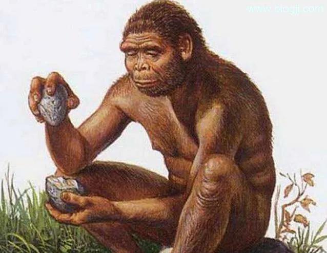 人类根本不是进化来的，人类进化过程所经历的几个阶段