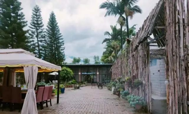 春节假期如何玩转保山？这份攻略快收下→