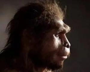 人类根本不是进化来的，人类进化过程所经历的几个阶段