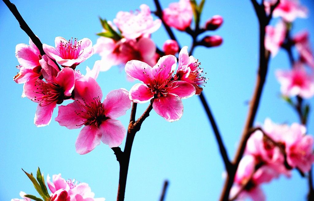 让摩羯座主动去追的4大星座,爱摩羯座爱到疯的星座