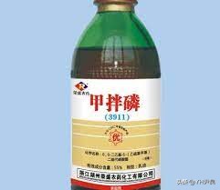 静海一中七仙女事件另有隐情，静海七仙女真实照片