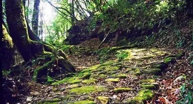 春节假期如何玩转保山？这份攻略快收下→