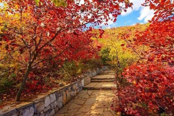 对不起，我要去房山