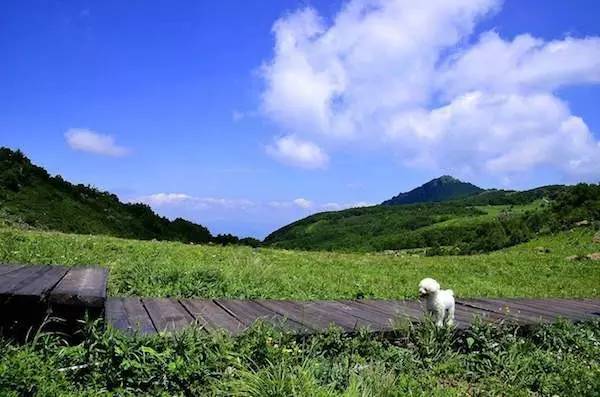对不起，我要去房山