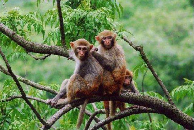 对不起，我要去房山