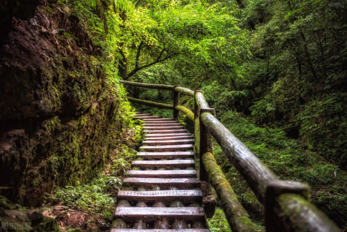 2021 成都景点攻略（宽窄巷子、锦里、武侯祠、杜甫草堂