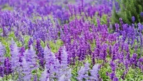 对不起，我要去房山