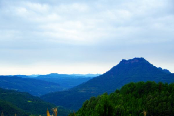 当神秘的北纬30°划过苍溪，有一种绿水青山叫“九龙山”