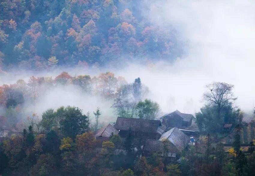 湖北秋季自驾游攻略，体验十条风景绝美的公路