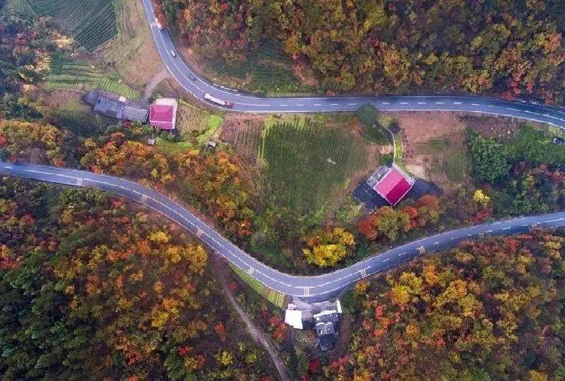 湖北秋季自驾游攻略，体验十条风景绝美的公路