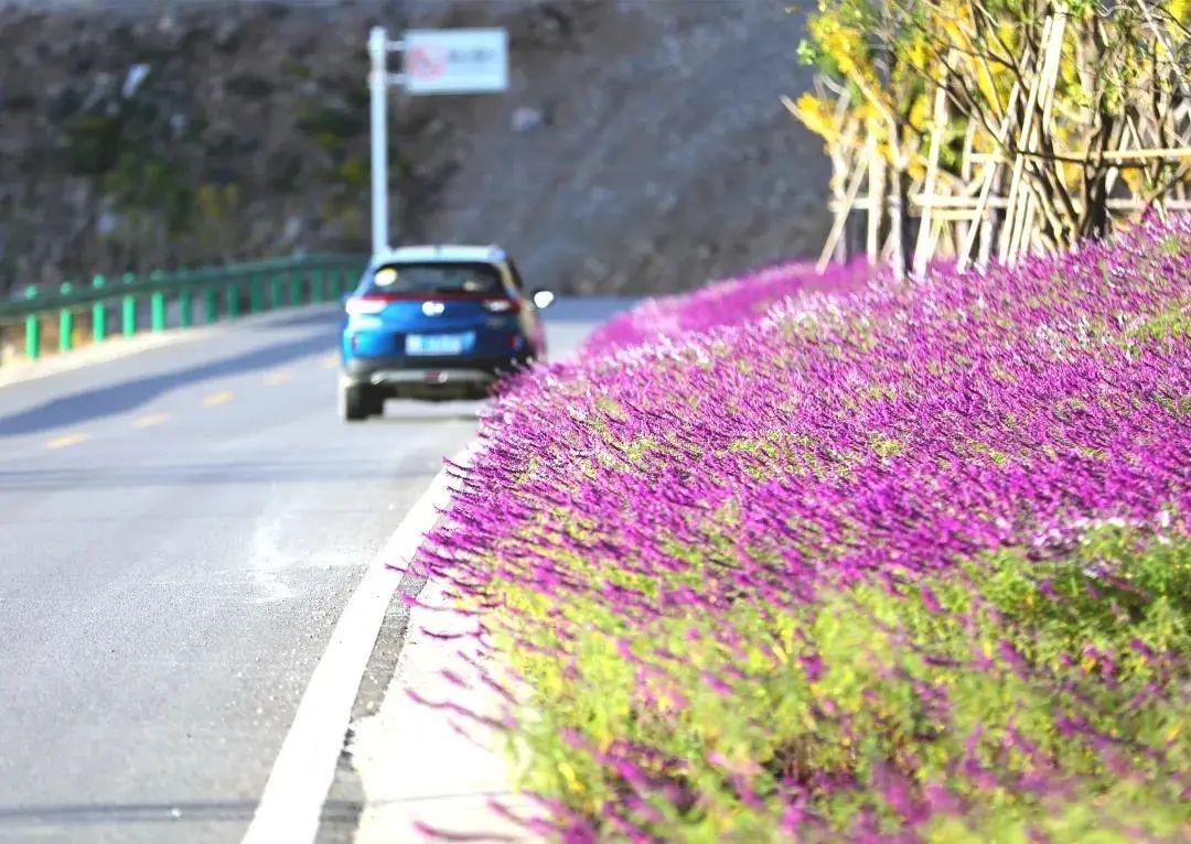 湖北秋季自驾游攻略，体验十条风景绝美的公路