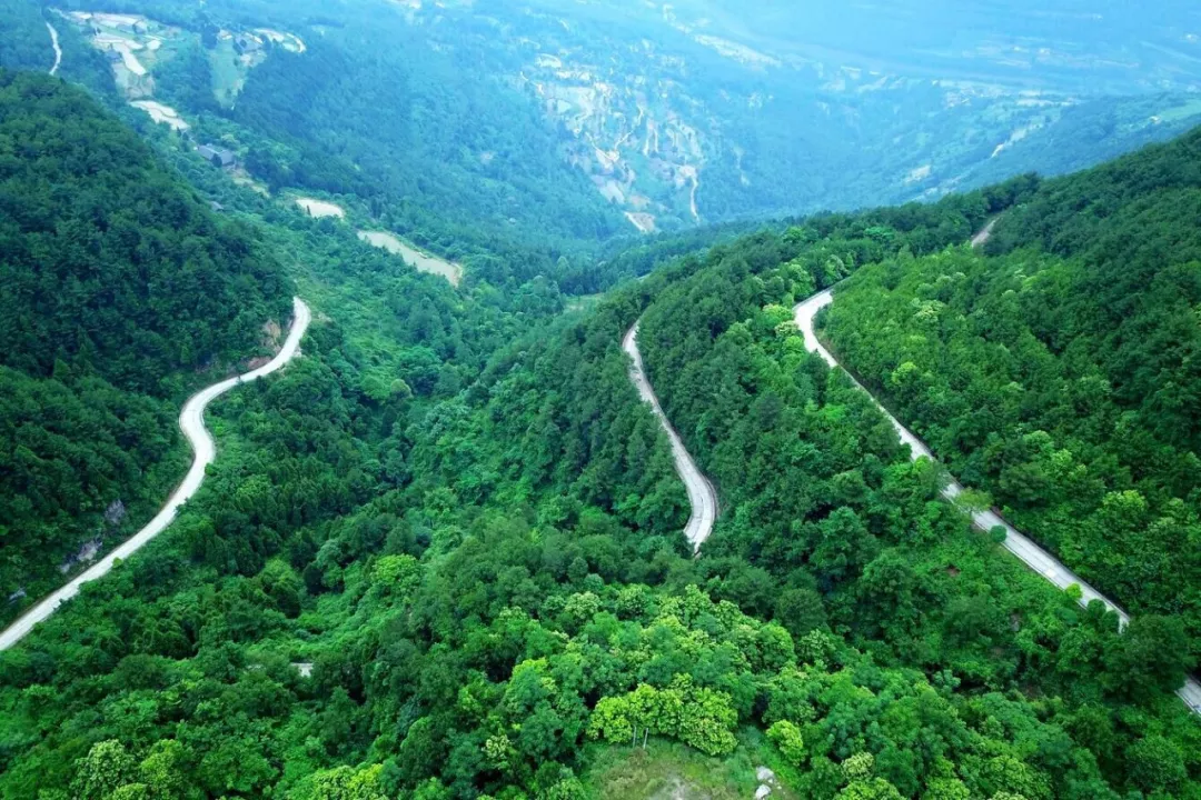 当神秘的北纬30°划过苍溪，有一种绿水青山叫“九龙山”