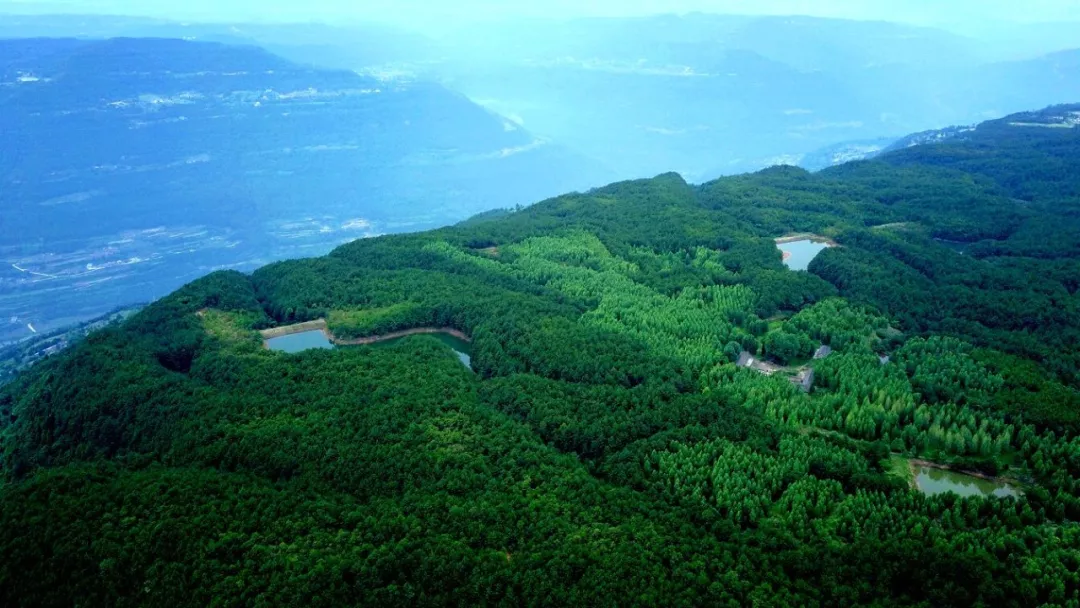 当神秘的北纬30°划过苍溪，有一种绿水青山叫“九龙山”