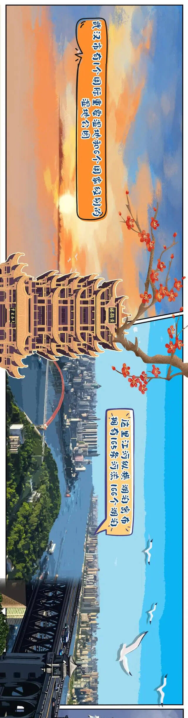 武汉举行第十四届《湿地公约》，蔡甸沉湖湿地被世界瞩目（看手绘长图）