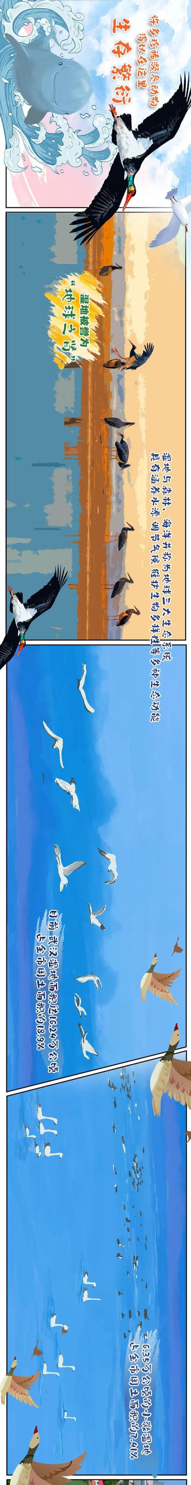 武汉举行第十四届《湿地公约》，蔡甸沉湖湿地被世界瞩目（看手绘长图）