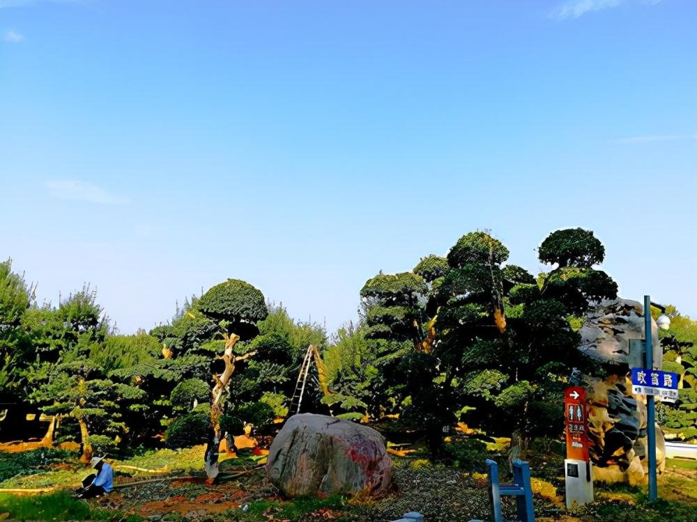 武汉最值得去的公园景区，感受大自然的魅力