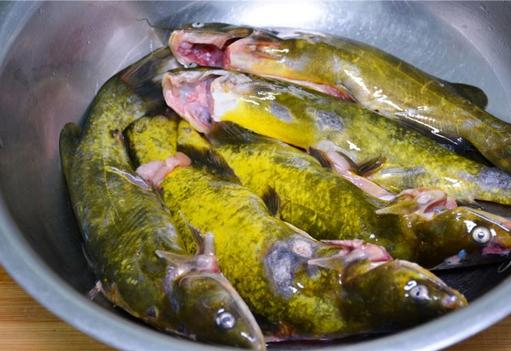 清蒸黄骨鱼(家常黄骨鱼怎么做好吃)