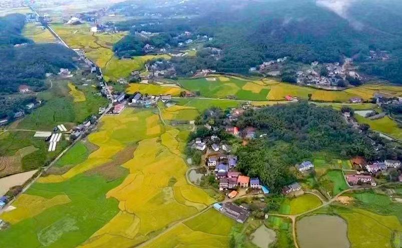 长沙旅游攻略十大景点必去（长沙10个好玩的地方推荐）