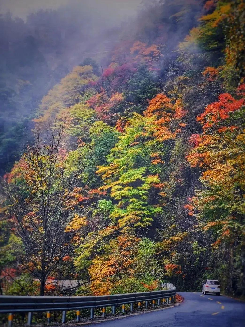 神农架景区有哪些主要景点，神农架秋天旅游风景美如画