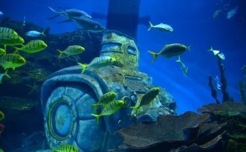 武汉海昌极地海洋公园