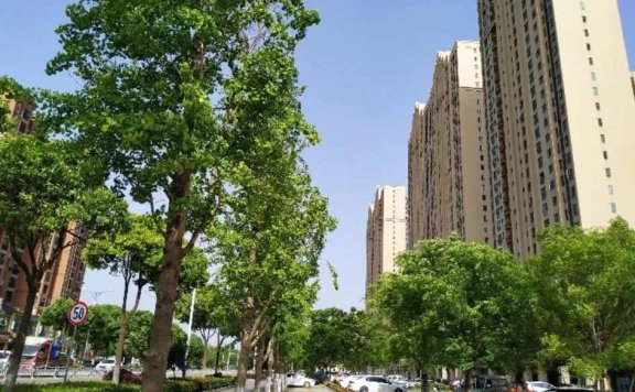 毕业生如何在武汉租房？盘点武汉租房的那些坑