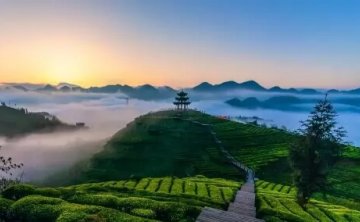 伍家台乡村休闲度假区