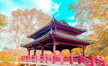 武汉的四季，风景有着不同的魅力