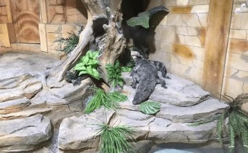 武汉东湖海洋乐园魔兽城堡，一起召唤小萌物