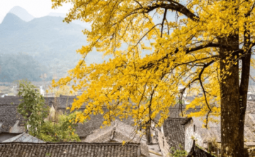 湖北及周边赏秋自驾游景点推荐