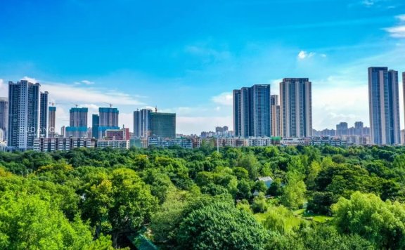 一座国家湿地公园最多的城市——武汉
