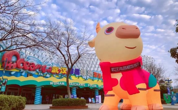 武汉春节去哪好玩?这些地方不能错过