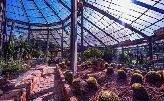 武汉植物园游玩，一个武汉最接近原始森林的地方