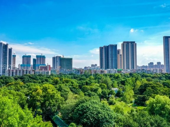 一座国家湿地公园最多的城市——武汉