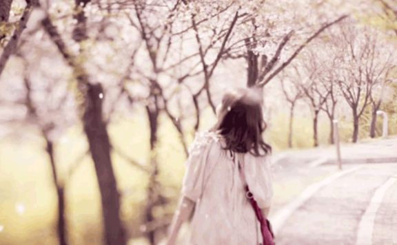 河南、云南相继恢复跨省游,多个旅游景区开放游玩